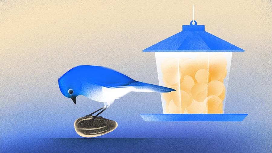 Illustration de l’article