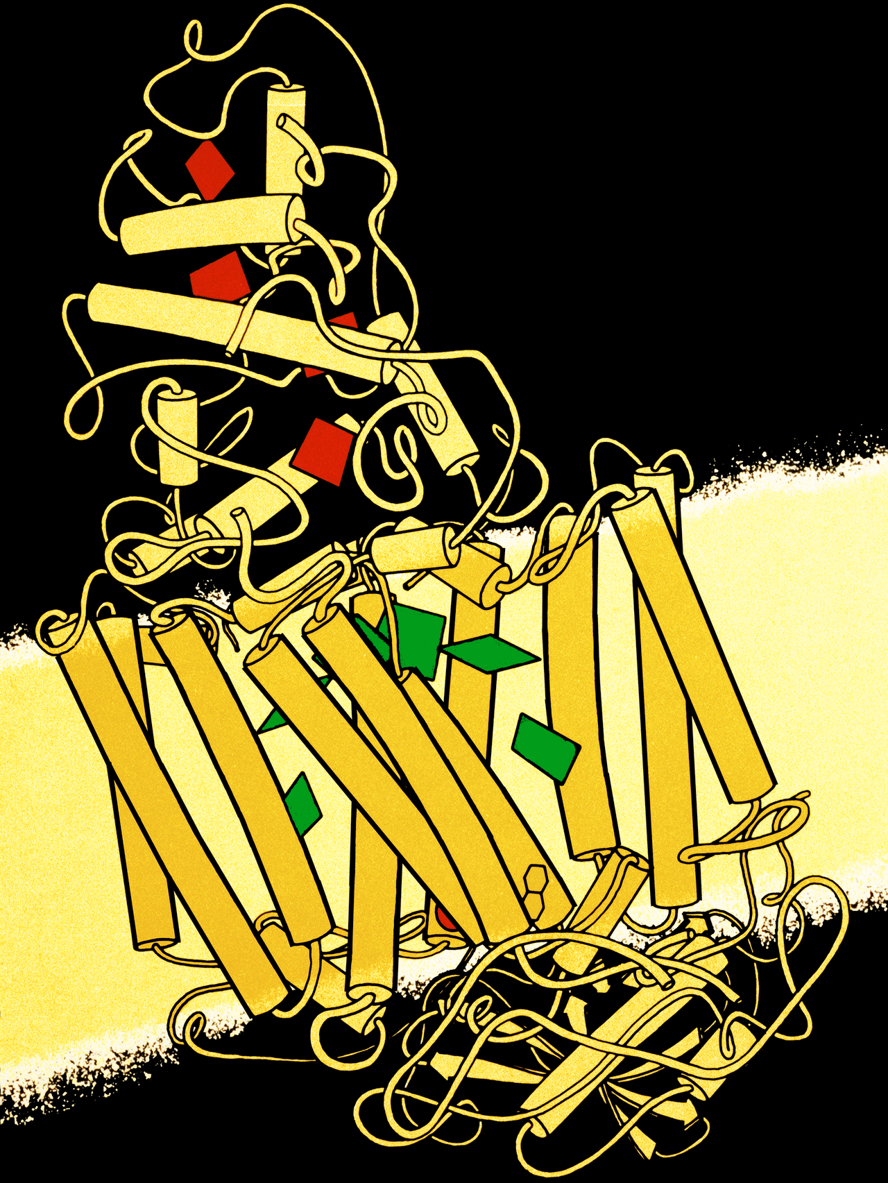 Photosynthetic Reaction Center Drawing